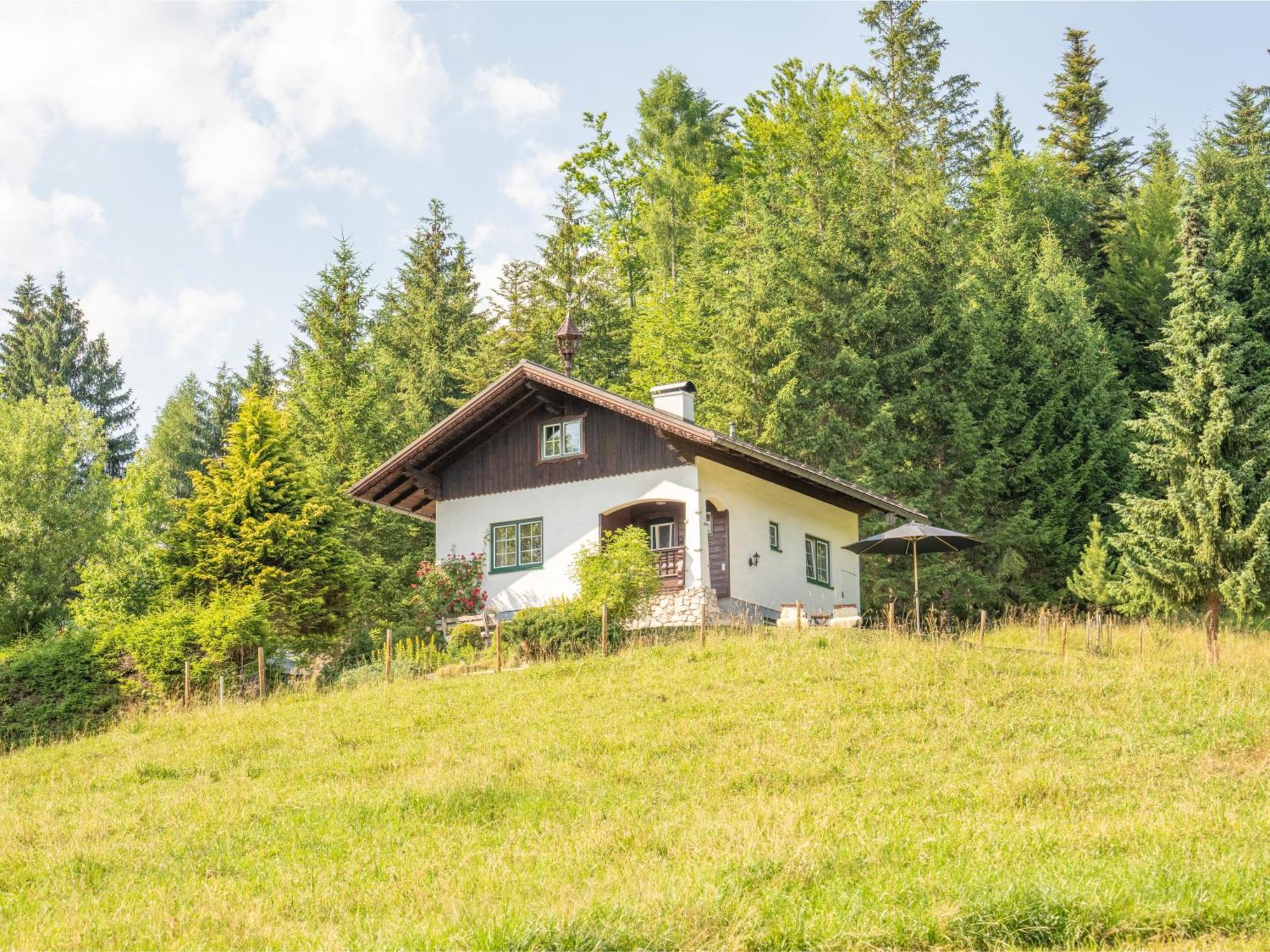 Strickerl Villa Bad Goisern Exterior foto